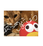 zoo'ss（個別スタンプ：12）