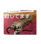 ぼんちゃんスタンプ（個別スタンプ：4）
