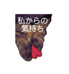 ぼんちゃんスタンプ（個別スタンプ：9）