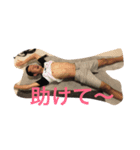 がわがわ13（個別スタンプ：3）