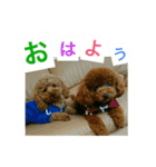 かいさくみん三兄弟（個別スタンプ：4）