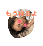 ゆうりと駿介（個別スタンプ：22）