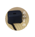 マゾッタのネコ（個別スタンプ：4）