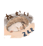 ハリネズミとか（個別スタンプ：2）