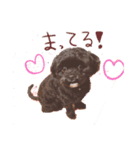 ハリネズミとか（個別スタンプ：4）