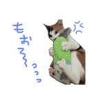 KIKI  ^._.^  2（個別スタンプ：12）