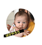 sara   stamp（個別スタンプ：13）
