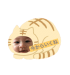 sara   stamp（個別スタンプ：16）