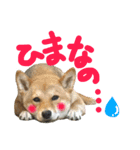 るな and スコッチ  いつでも一緒（個別スタンプ：5）