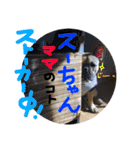 るな and スコッチ  いつでも一緒（個別スタンプ：16）