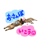 るな and スコッチ  いつでも一緒（個別スタンプ：21）