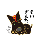 YOSAKOI貧乏レンジャー（個別スタンプ：40）