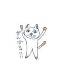 下がり眉の猫（個別スタンプ：4）