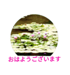 夏の花のあいさつ 日本語版（個別スタンプ：2）