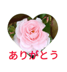 夏の花のあいさつ 日本語版（個別スタンプ：8）