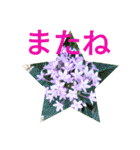 夏の花のあいさつ 日本語版（個別スタンプ：9）
