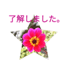 夏の花のあいさつ 日本語版（個別スタンプ：21）