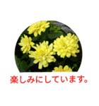 夏の花のあいさつ 日本語版（個別スタンプ：33）