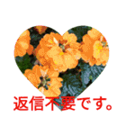 夏の花のあいさつ 日本語版（個別スタンプ：36）