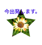 夏の花のあいさつ 日本語版（個別スタンプ：37）
