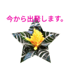 夏の花のあいさつ 日本語版（個別スタンプ：38）