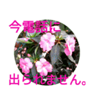 夏の花のあいさつ 日本語版（個別スタンプ：40）