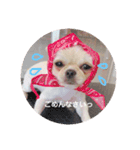 愛犬マロン★（個別スタンプ：2）
