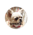 愛犬マロン★（個別スタンプ：9）