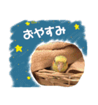 オカメインコのまめつぶ兄弟。（個別スタンプ：2）