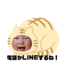 猫のくー（個別スタンプ：1）