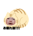 猫のくー（個別スタンプ：2）