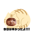猫のくー（個別スタンプ：6）