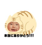 猫のくー（個別スタンプ：7）