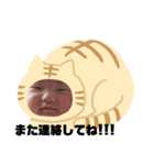 猫のくー（個別スタンプ：9）