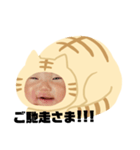 猫のくー（個別スタンプ：10）