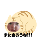 猫のくー（個別スタンプ：11）