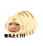 猫のくー（個別スタンプ：13）
