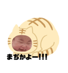 猫のくー（個別スタンプ：14）
