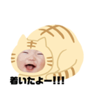 猫のくー（個別スタンプ：15）
