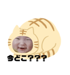 猫のくー（個別スタンプ：16）