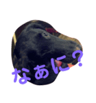 クロジー（個別スタンプ：3）