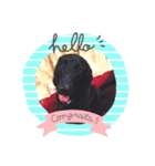 クロジー（個別スタンプ：4）