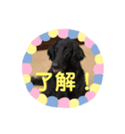 クロジー（個別スタンプ：5）