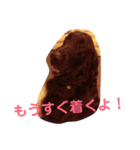 クロジー（個別スタンプ：8）