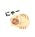 太郎のひと言スタンプ（個別スタンプ：21）