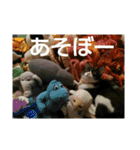ちびねこサンダース（個別スタンプ：25）