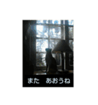 ちびねこサンダース（個別スタンプ：27）