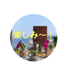 いず カフェ タイム（個別スタンプ：10）