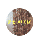 いず カフェ タイム（個別スタンプ：11）