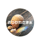 いず カフェ タイム（個別スタンプ：12）